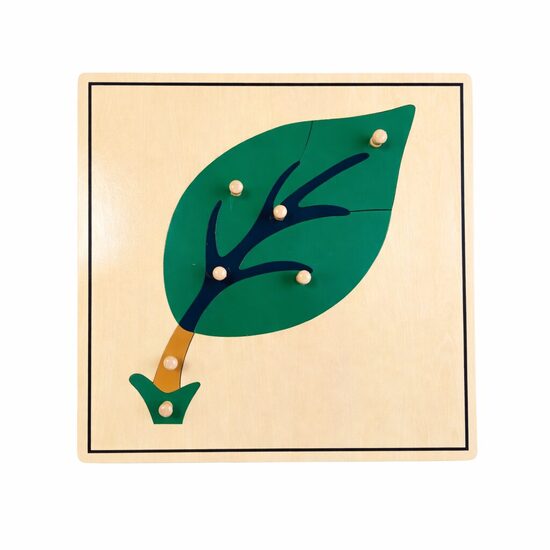 Botānikas puzle: lapa