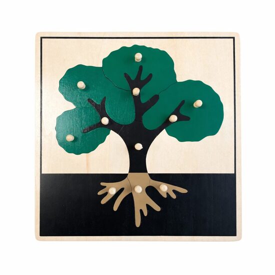 Botānikas puzle: koks