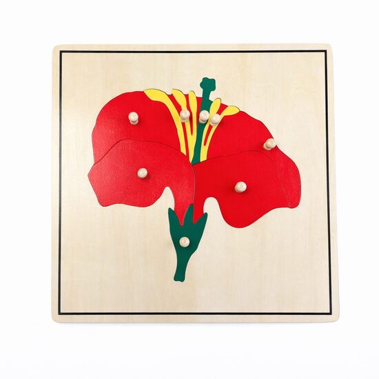 Botānikas puzle: zieds