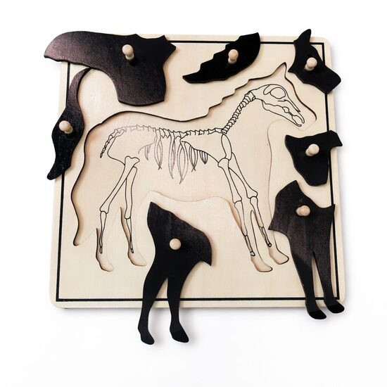 Zirga puzle ar skeletu