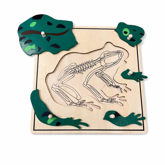 Vardes puzle ar skeletu