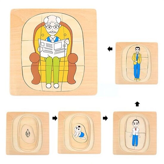 Cilvēka (vīrieša) dzīves cikla slāņu puzle