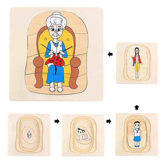 Cilvēka (sievietes) dzīves cikla slāņu puzle