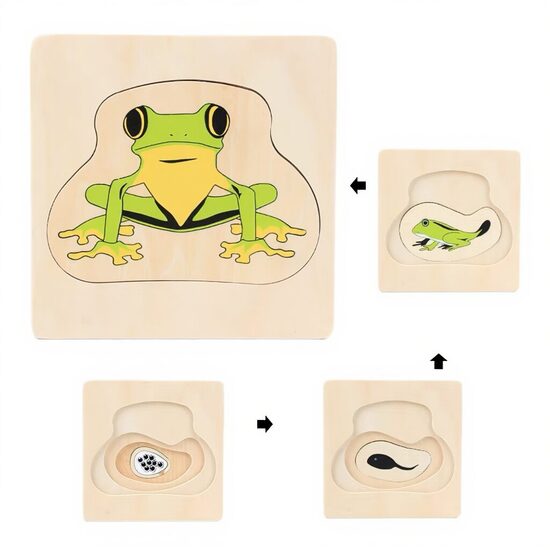 Vardes dzīves cikla slāņu puzle