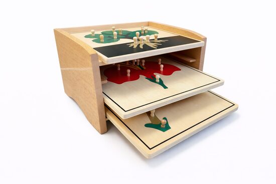 Botānikas pužļu komplekts ar kabinetu