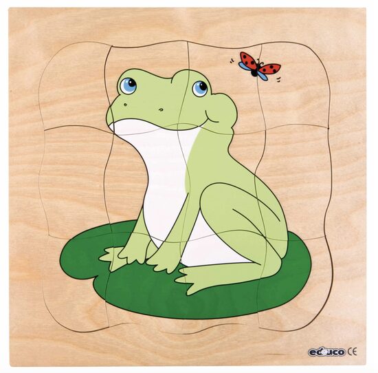 Dzīves cikla slāņu puzle - varde