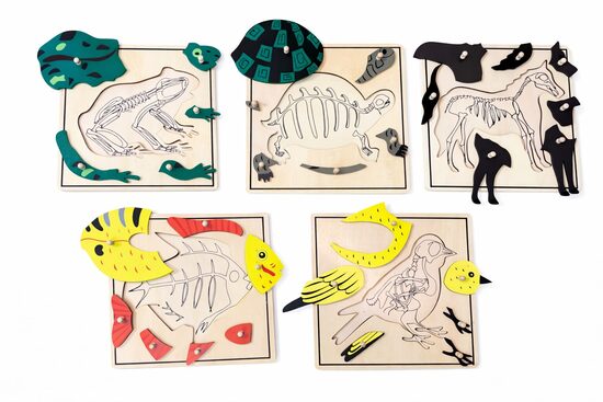 Dzīvnieku pužļu (ar skeletiem) komplekts