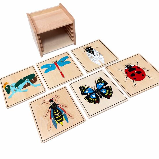 Kukaiņu pužļu komplekts ar kabinetu